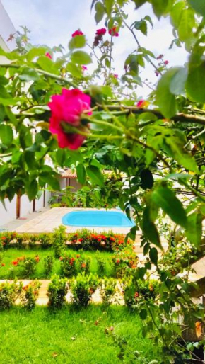 Flat da Dhéia, Ipojuca